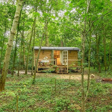 Woodland Retreat Shepherds Hut Vila Brundish Exterior foto