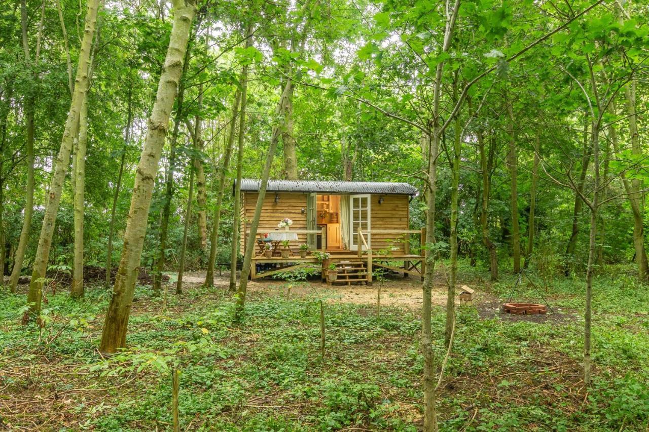 Woodland Retreat Shepherds Hut Vila Brundish Exterior foto